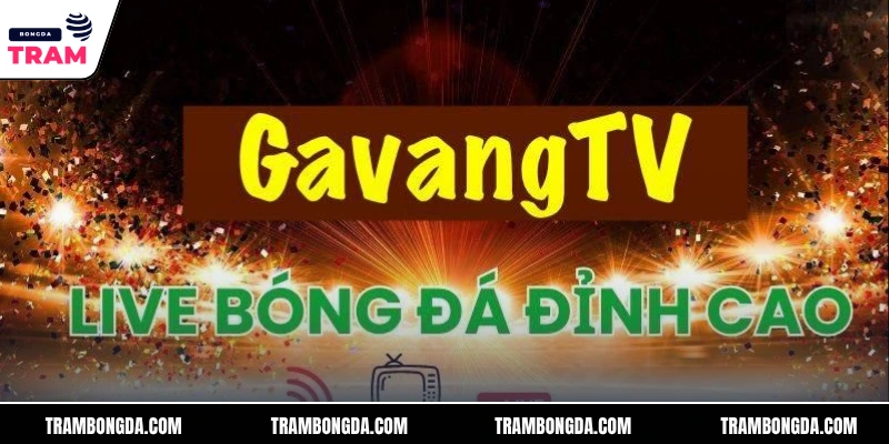 BLV Gà Siêu Phệ trực tiếp bóng đá thu hút triệu fan