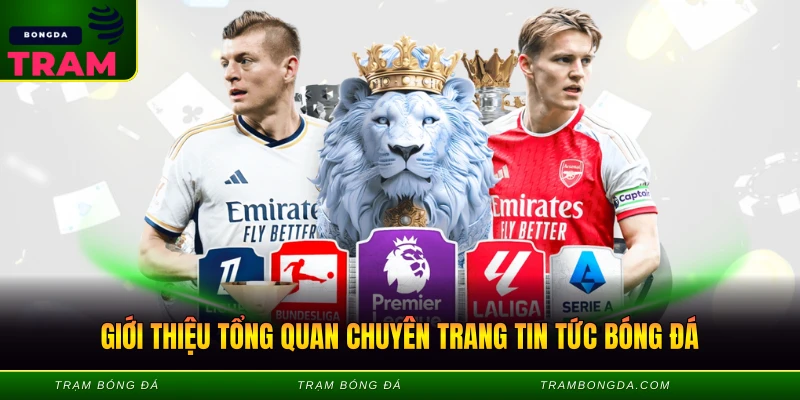 Giới Thiệu Trambongda - Chuyên Trang Tin Tức Bóng Đá Hàng Đầu 1 Giới thiệu tổng quan chuyên trang tin tức bóng đá