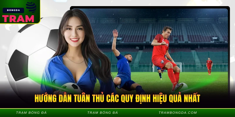 Hướng dẫn tuân thủ các quy định hiệu quả nhất