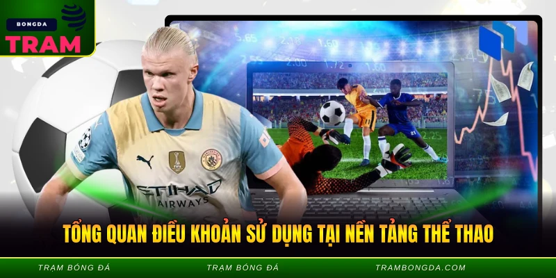 Tổng quan điều khoản sử dụng tại nền tảng thể thao